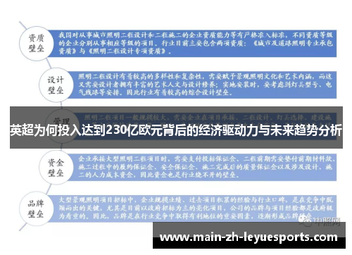 英超为何投入达到230亿欧元背后的经济驱动力与未来趋势分析