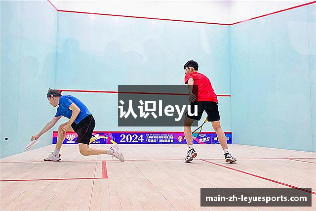 认识leyu